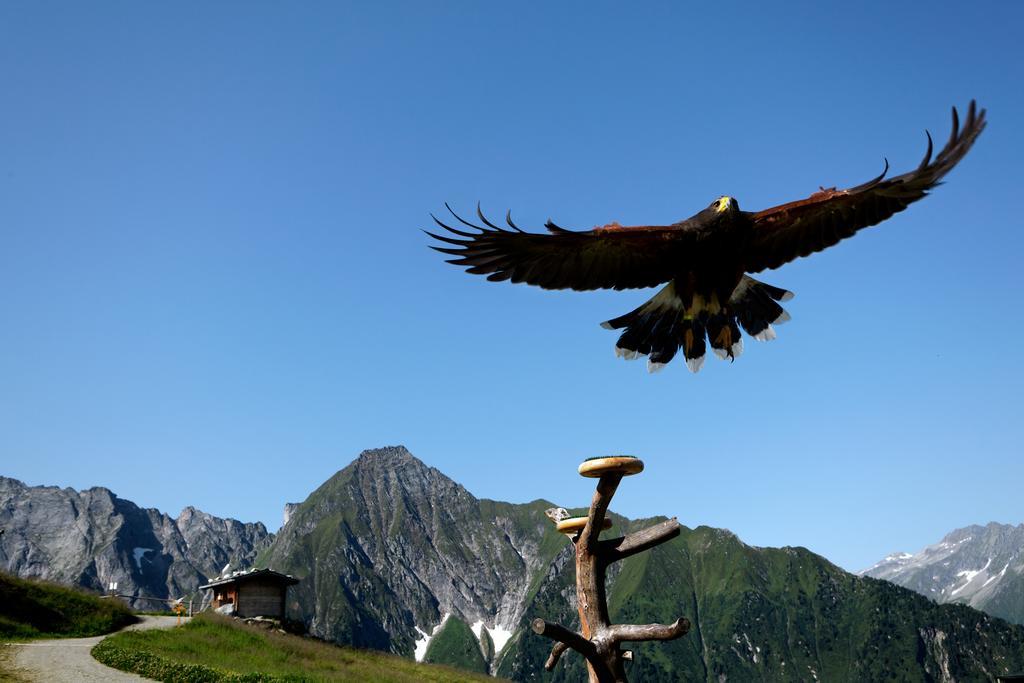 Gaestehaus Ahornblick Mayrhofen Luaran gambar